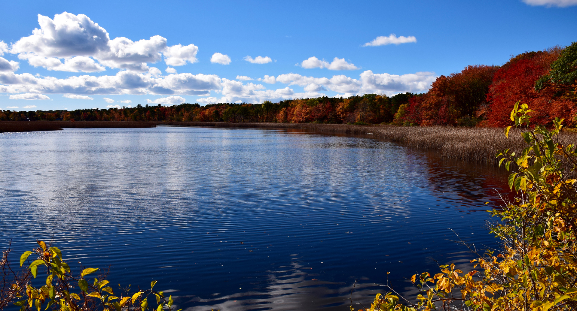 Massacre Pond at Scarborough Beach State Park
