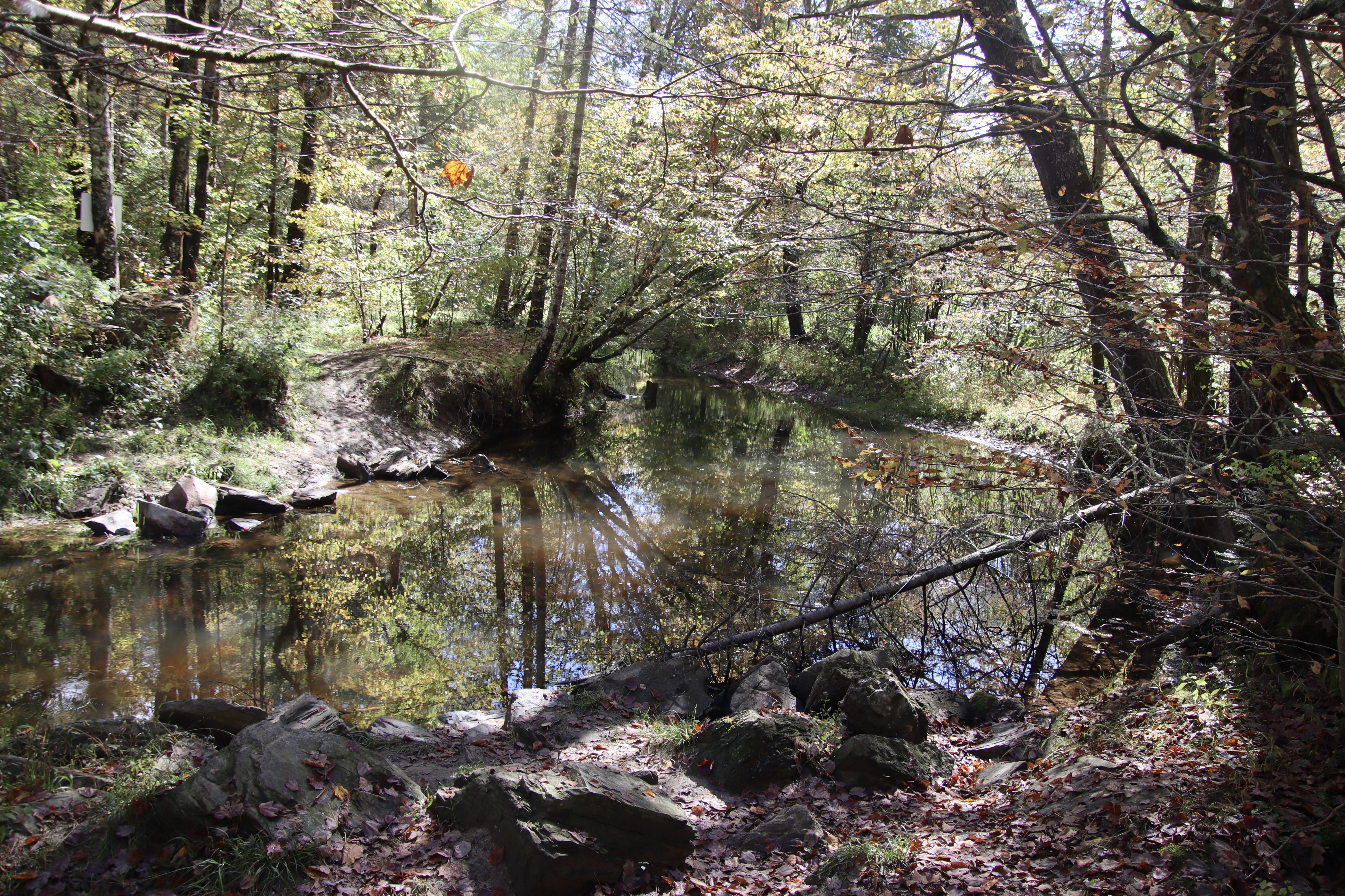 View of the Nonesuch from the Fuller Farm trail network.