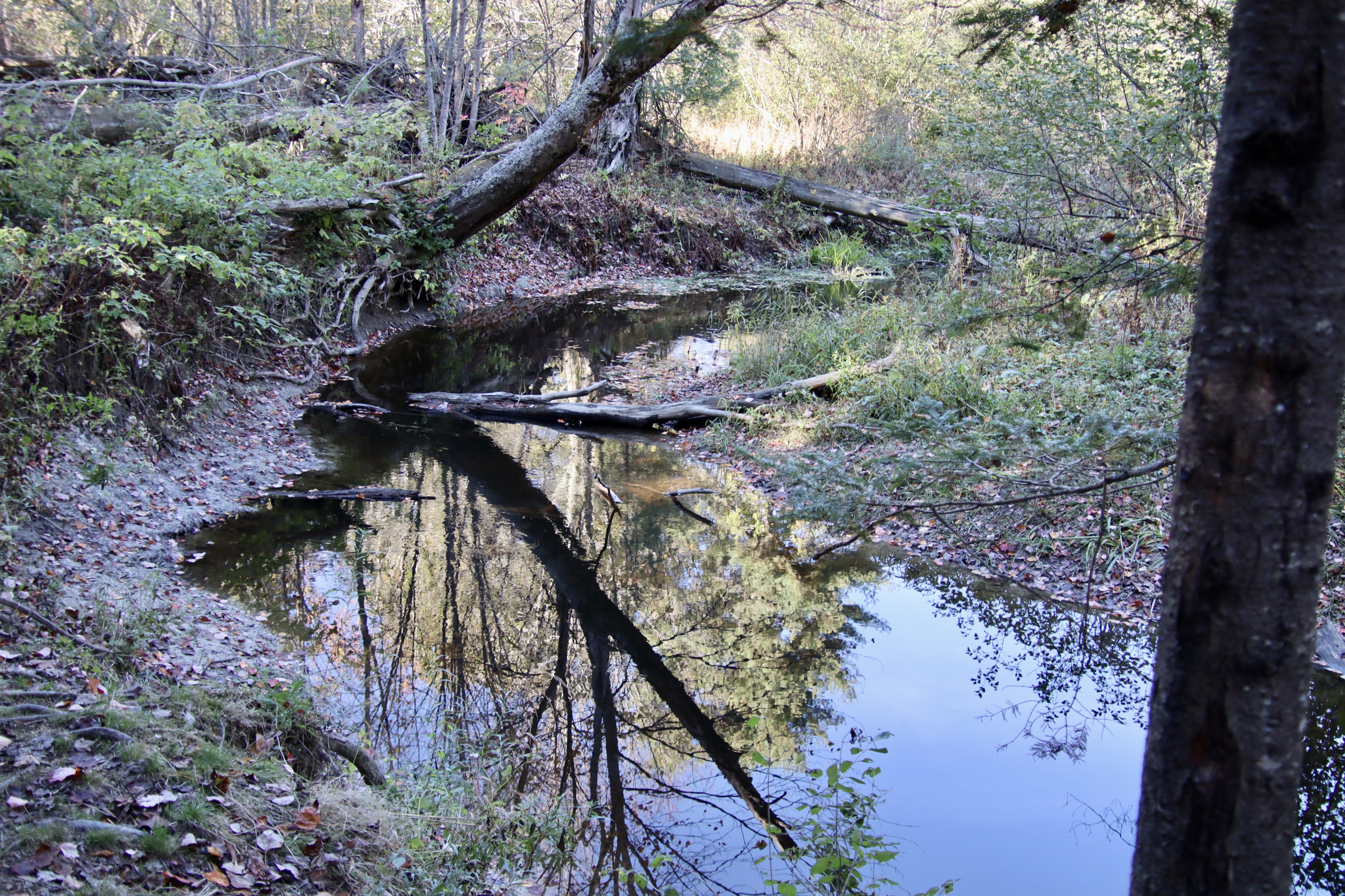 Access point to the river from the loop trail.
