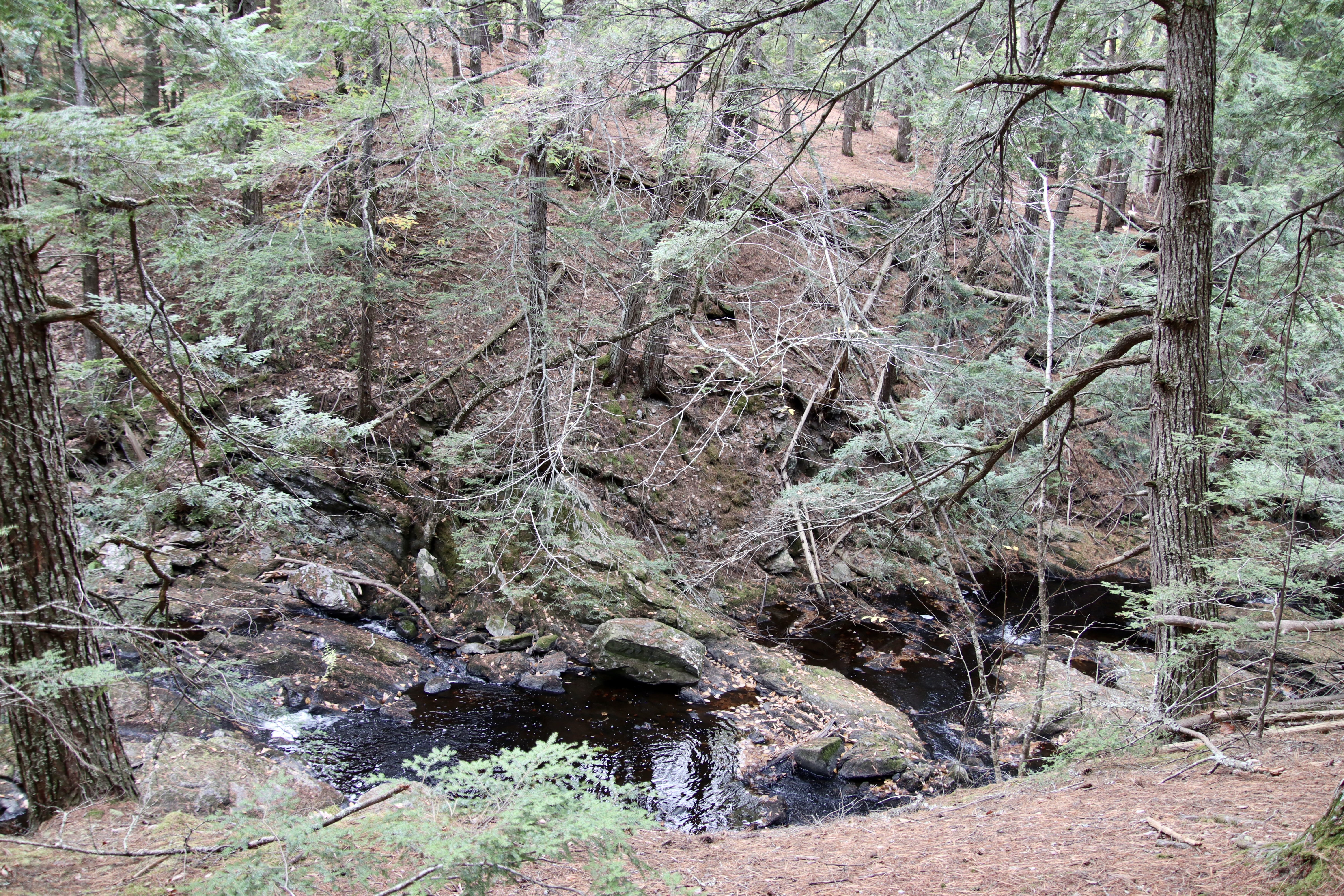 Nonesuch Headwaters