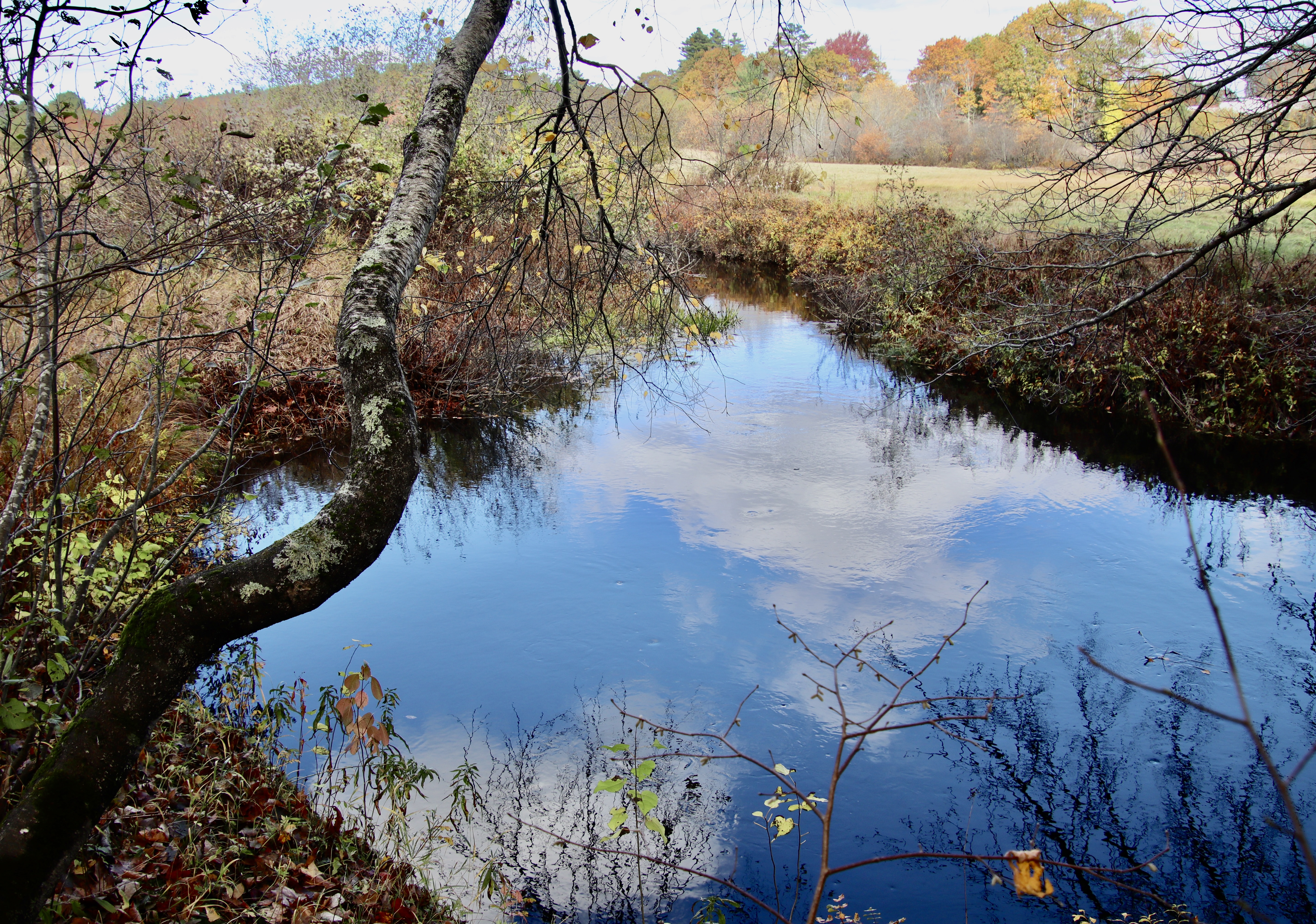 View from Woodspeed Rd./Hunnewell Hill trails.