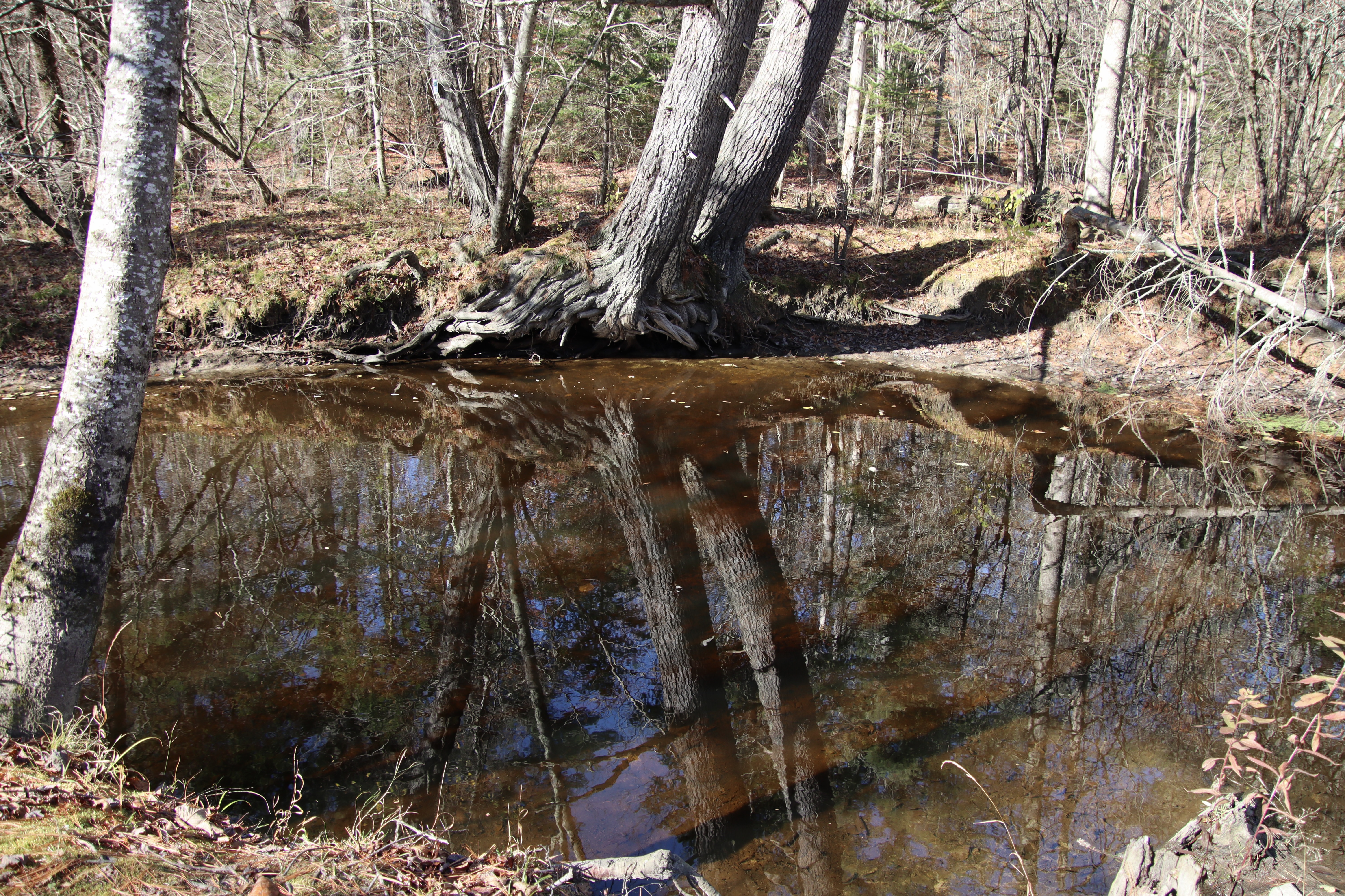 From the trails off Fengler Rd, opposite the view from the Fuller Farm trails.