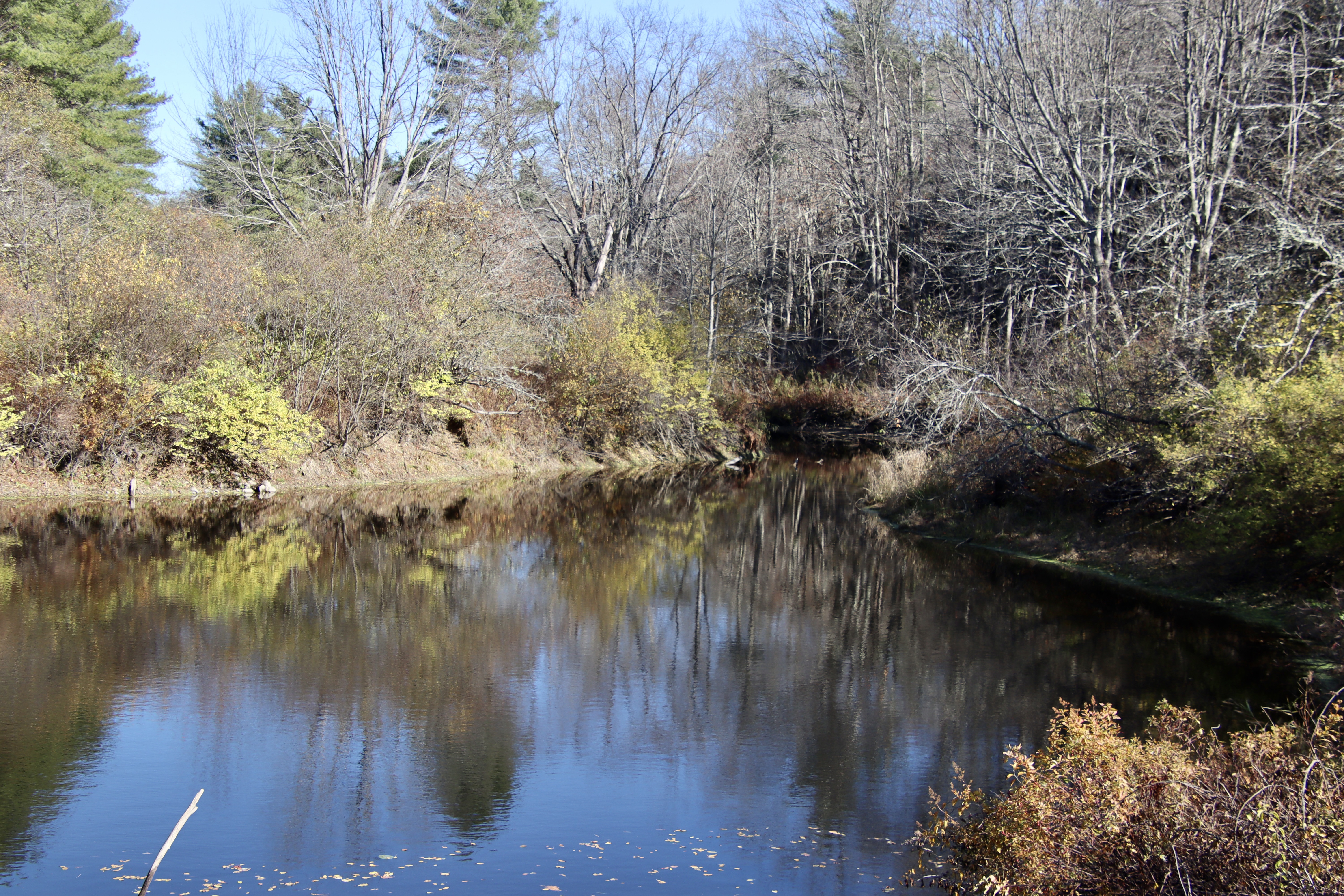 Looking downstream from Mitchell Hill Rd; this is at the edge of the Oak Hollow property.