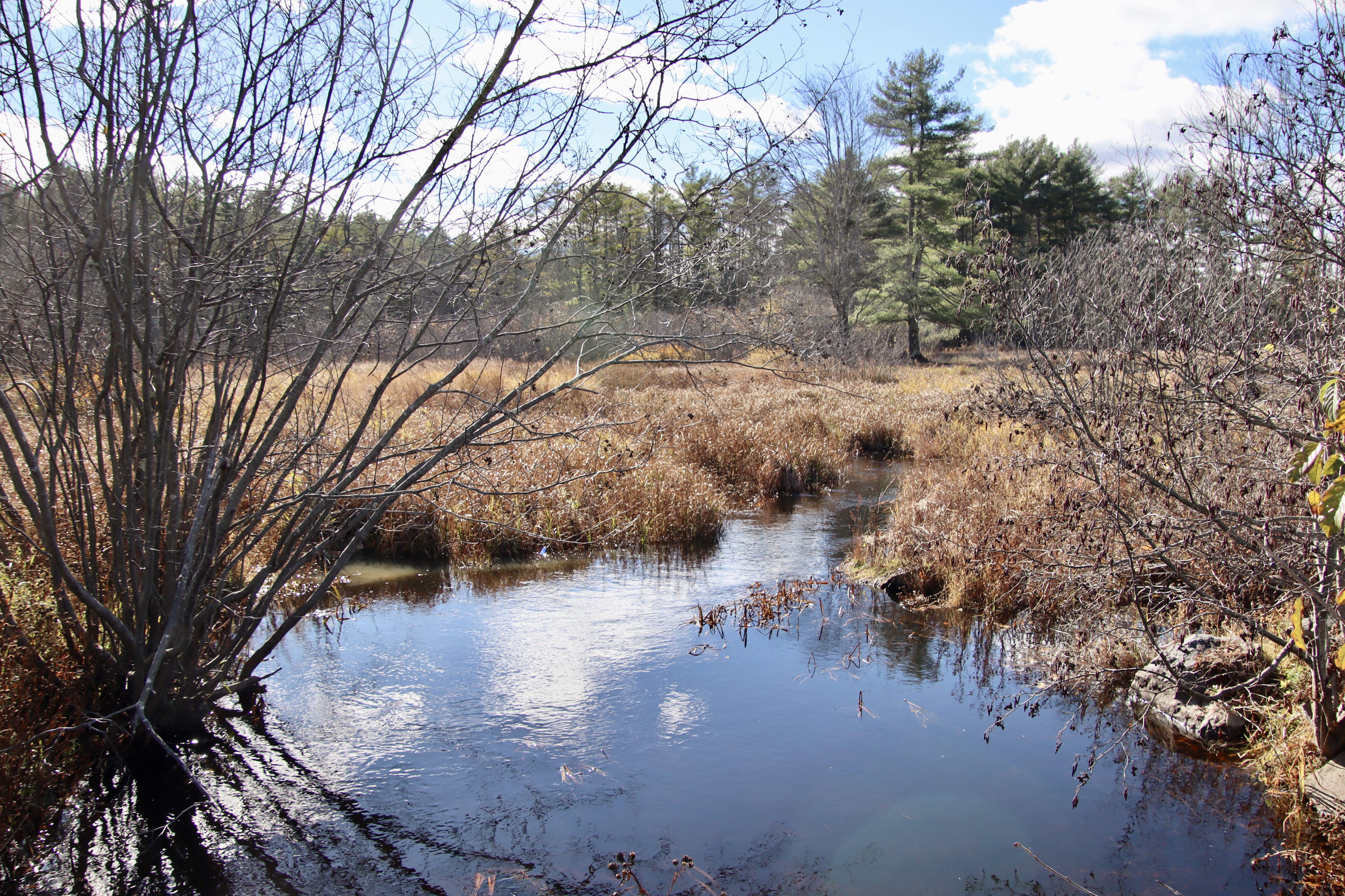 Nonesuch Headwaters