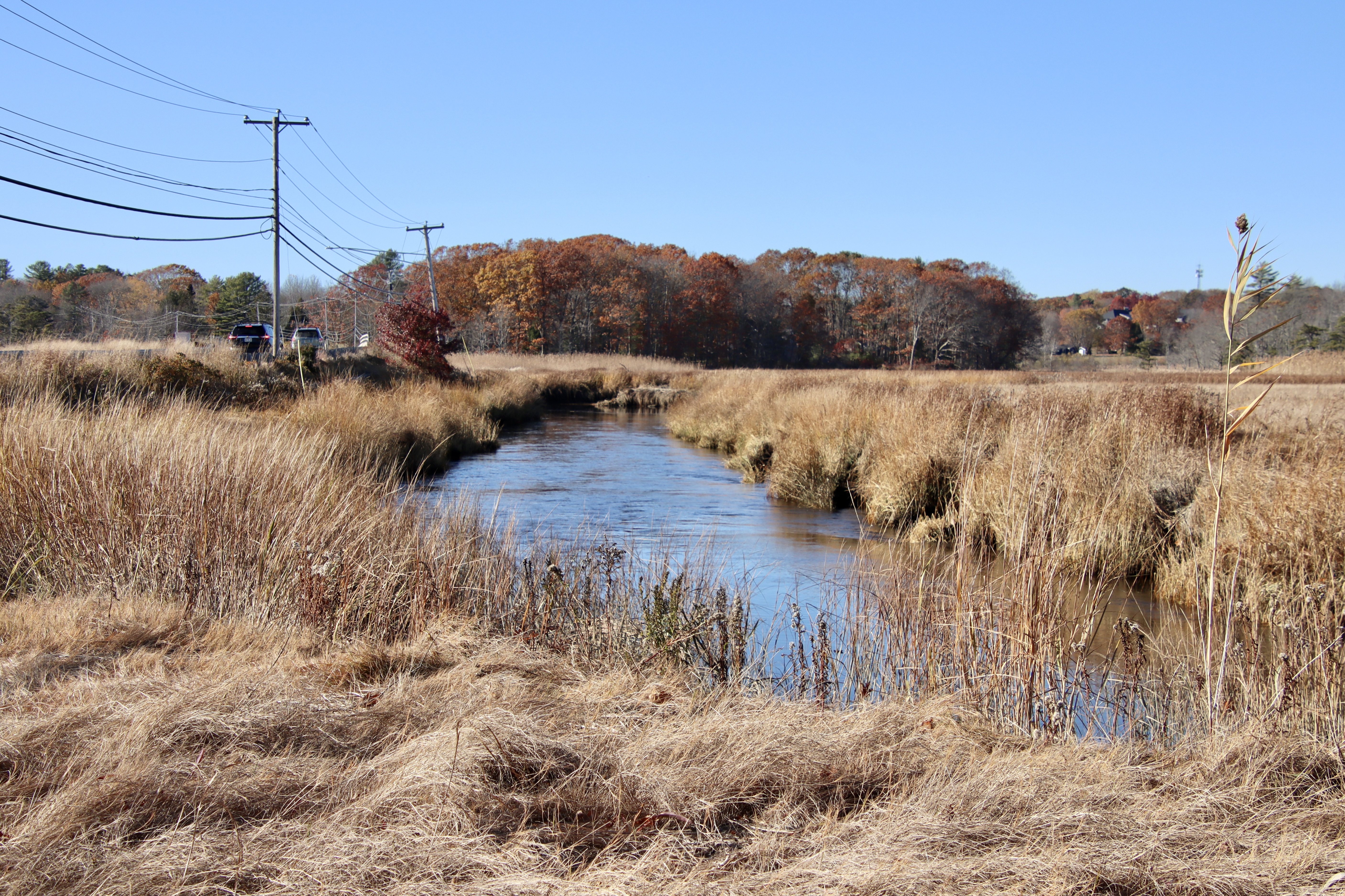 From the east side of Black Point Rd.