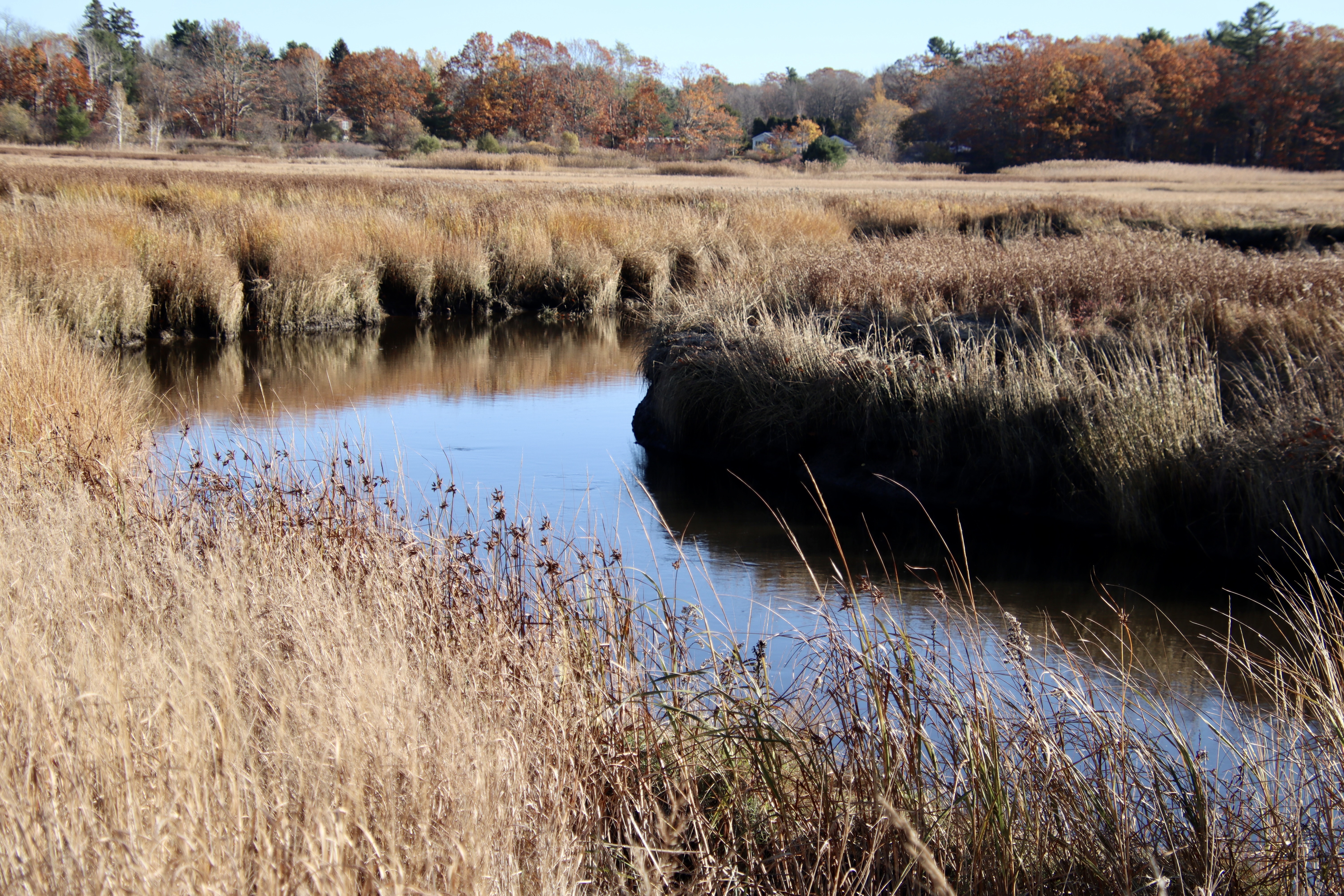From the west side of Black Point Rd.