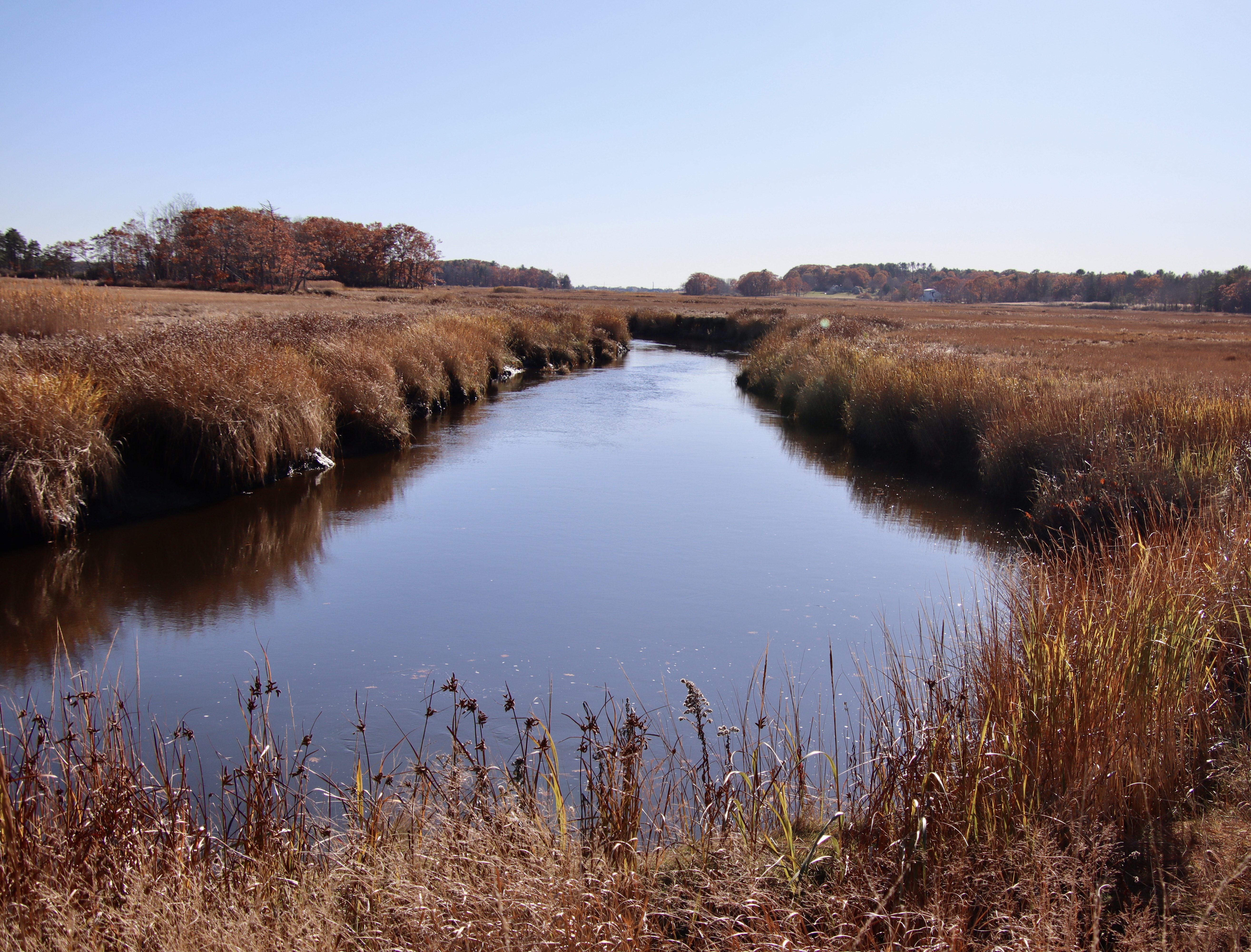 From the west side of Black Point Rd.