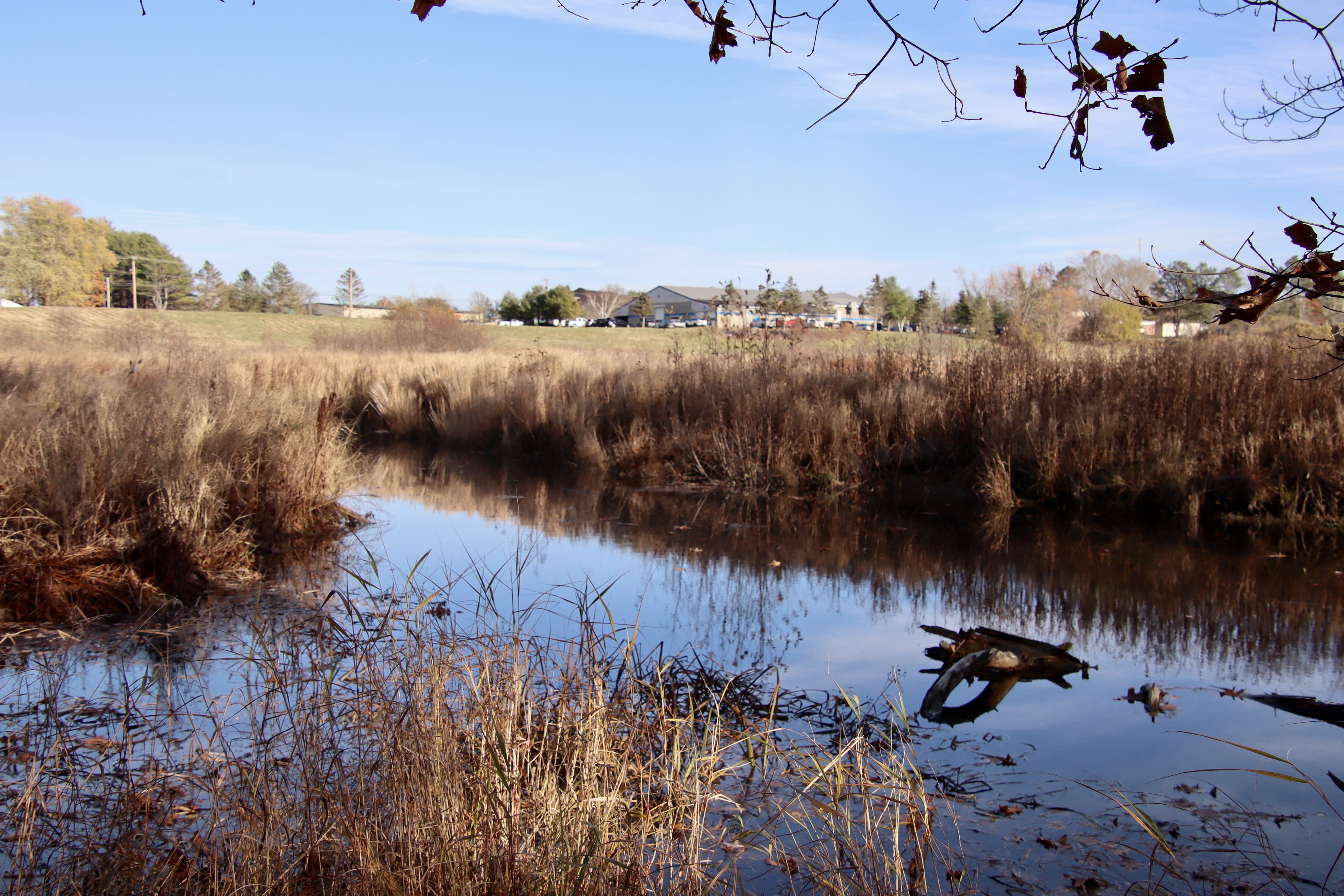 A bit downstream from Rt. 1
