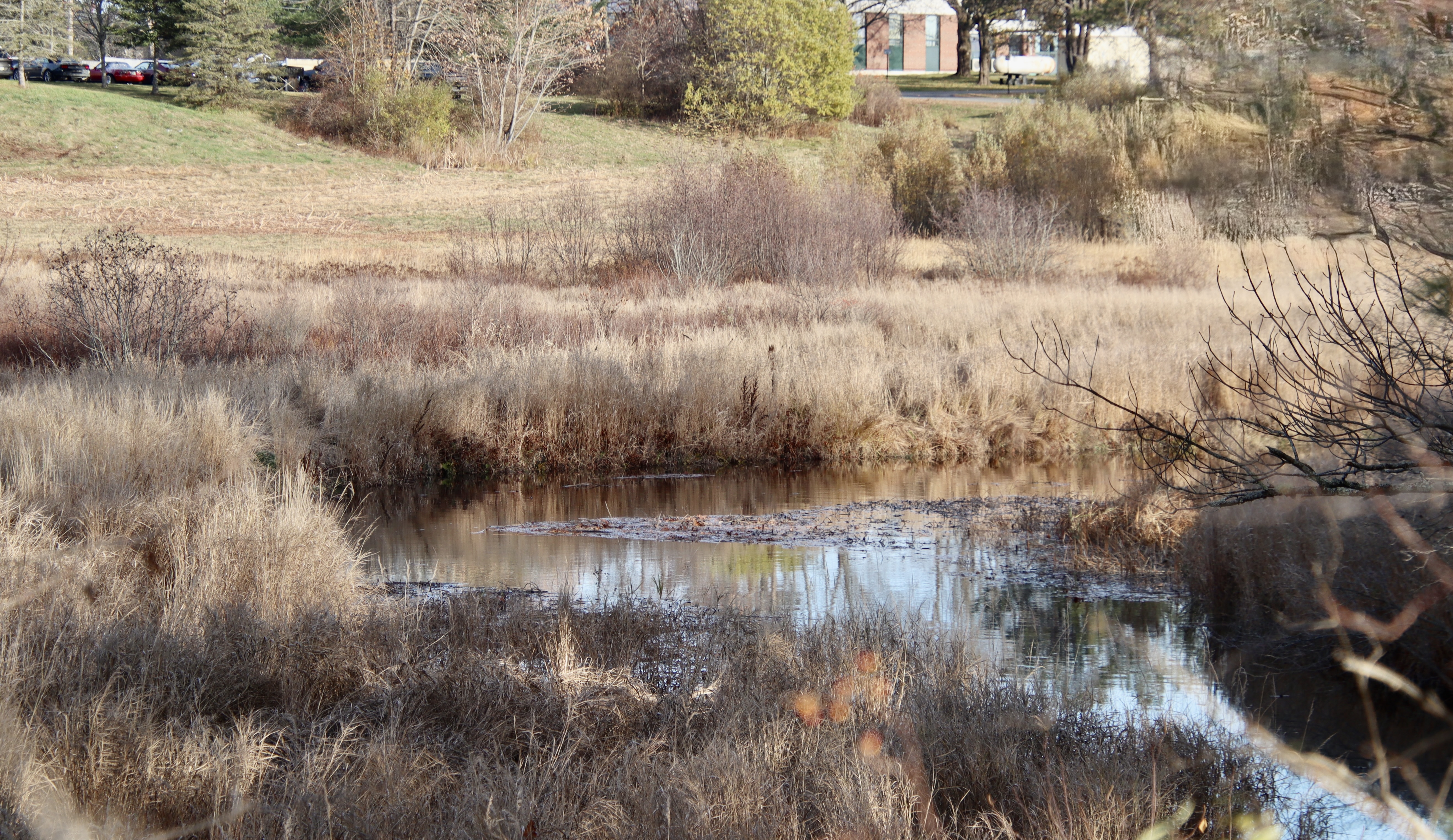 A bit downstream from Rt. 1