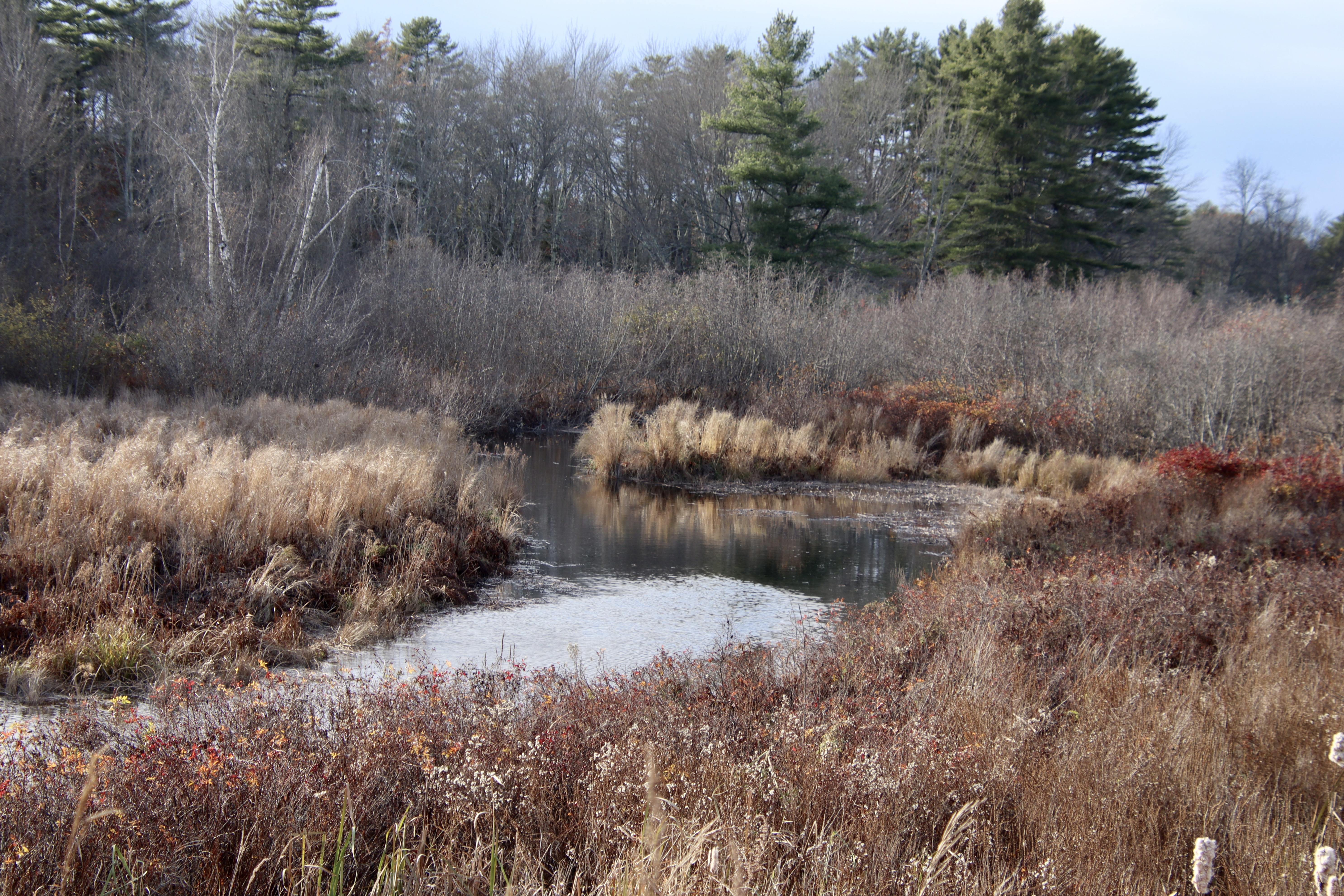 Looking upstream from Rt. 1