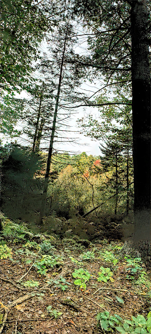 Mill Brook Marsh - Point 4 - Vertical View
