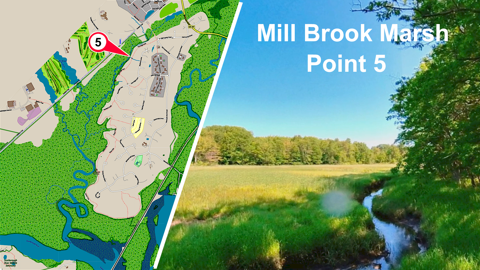 Mill Brook Marsh - Point 5