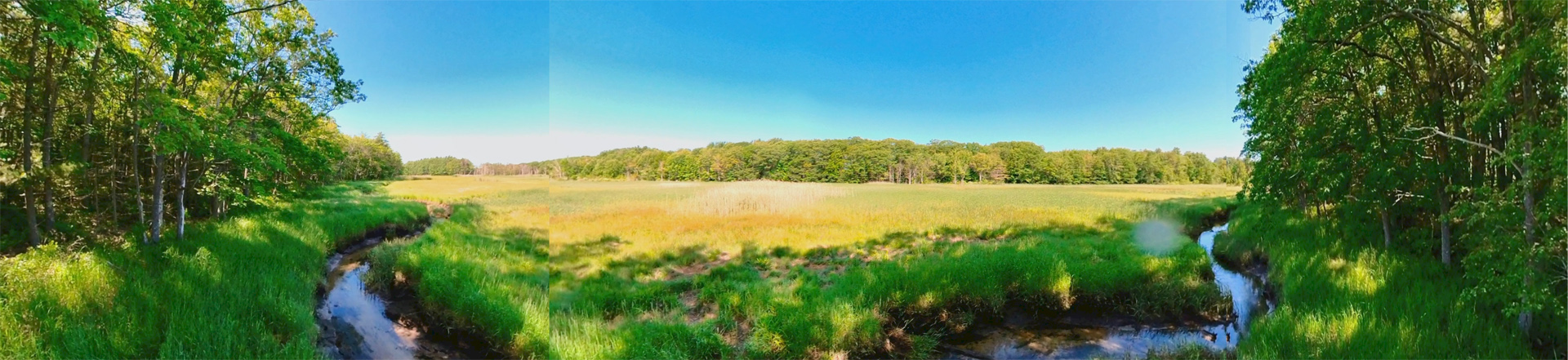 Mill Brook Marsh - Point 5 - Panorama