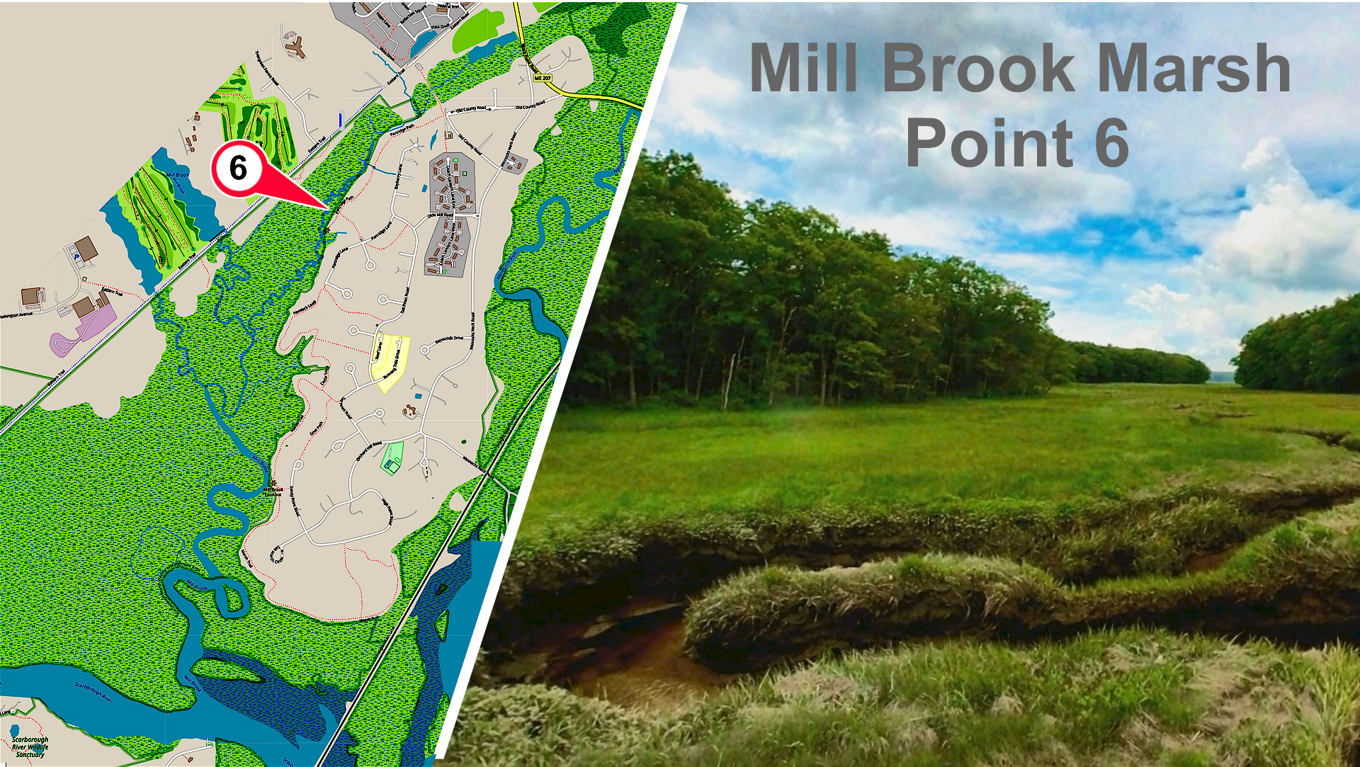 Mill Brook Marsh - Point 6