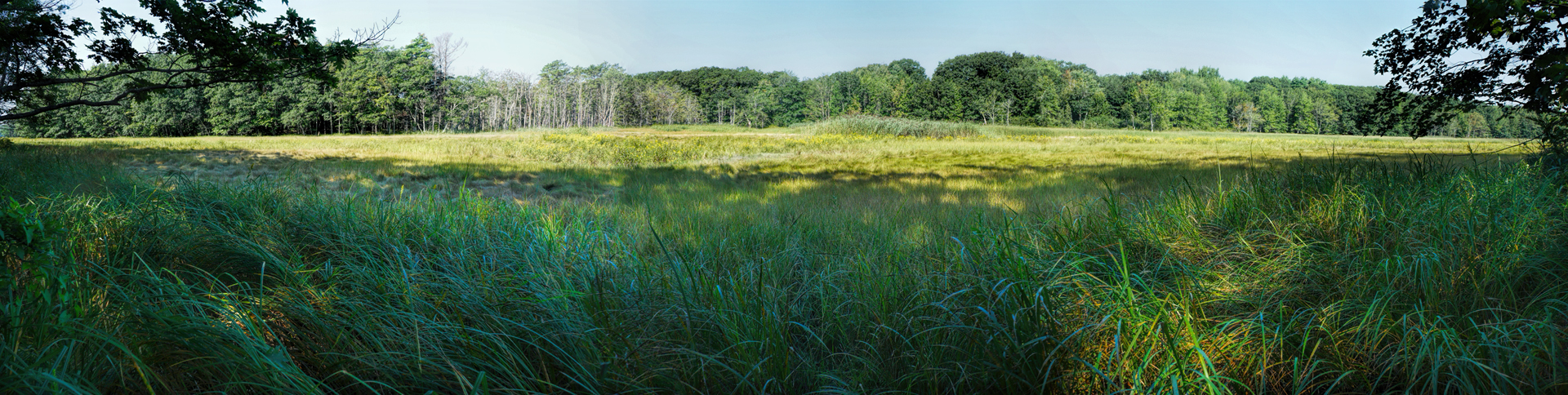 Mill Brook Marsh - Point 6 - Summer Panorama