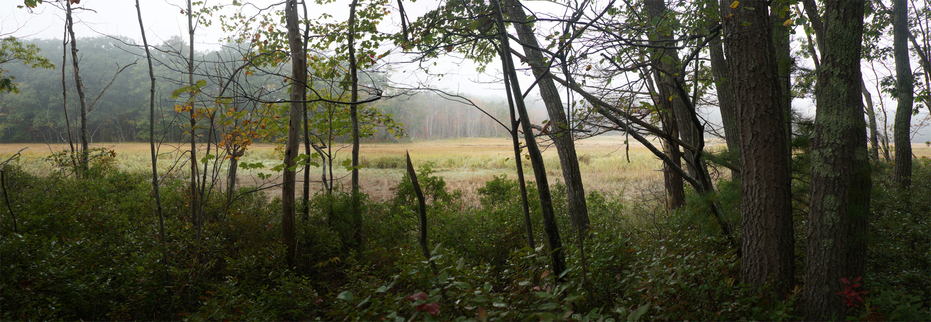 Mill Brook Marsh - Point 6 - Panorama in Fog
