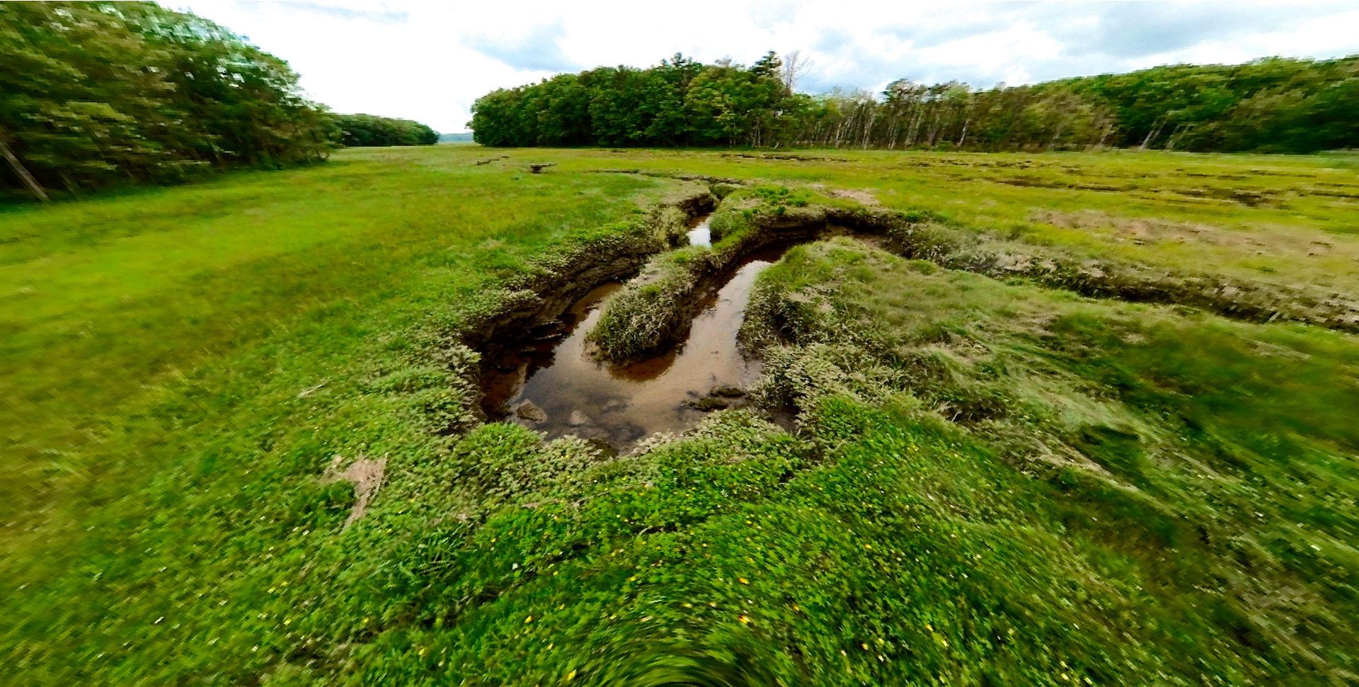Mill Brook Marsh - Point 6 - Stream Bend