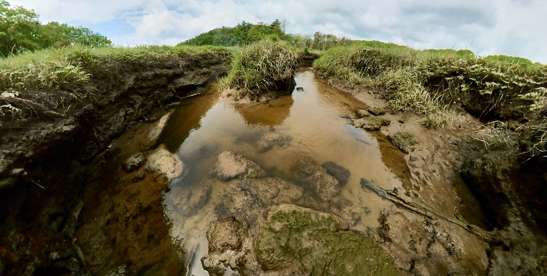 Mill Brook Marsh - Point 6 - Stream Bend