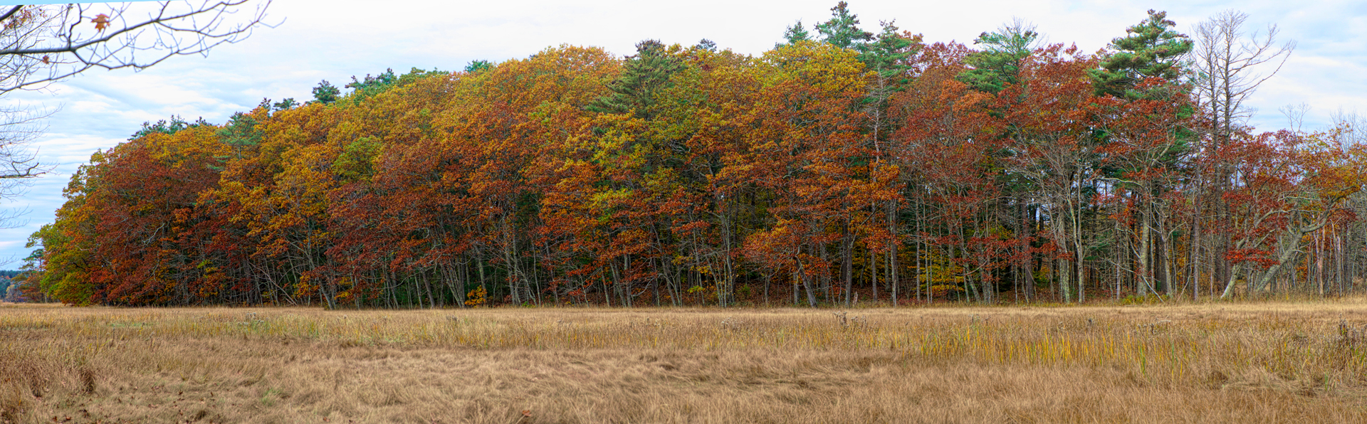 Mill Brook Marsh - Point 6 - Fall Foliage