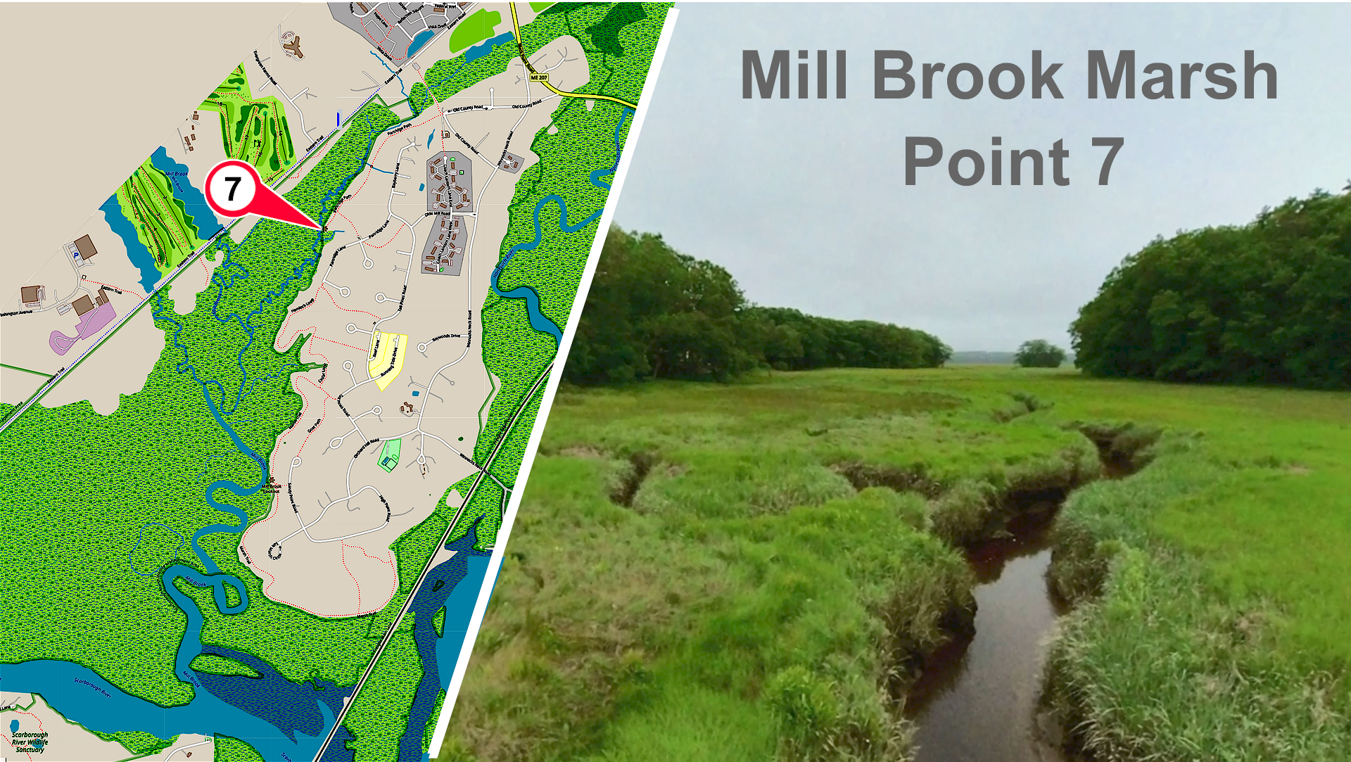 Mill Brook Marsh - Point 7