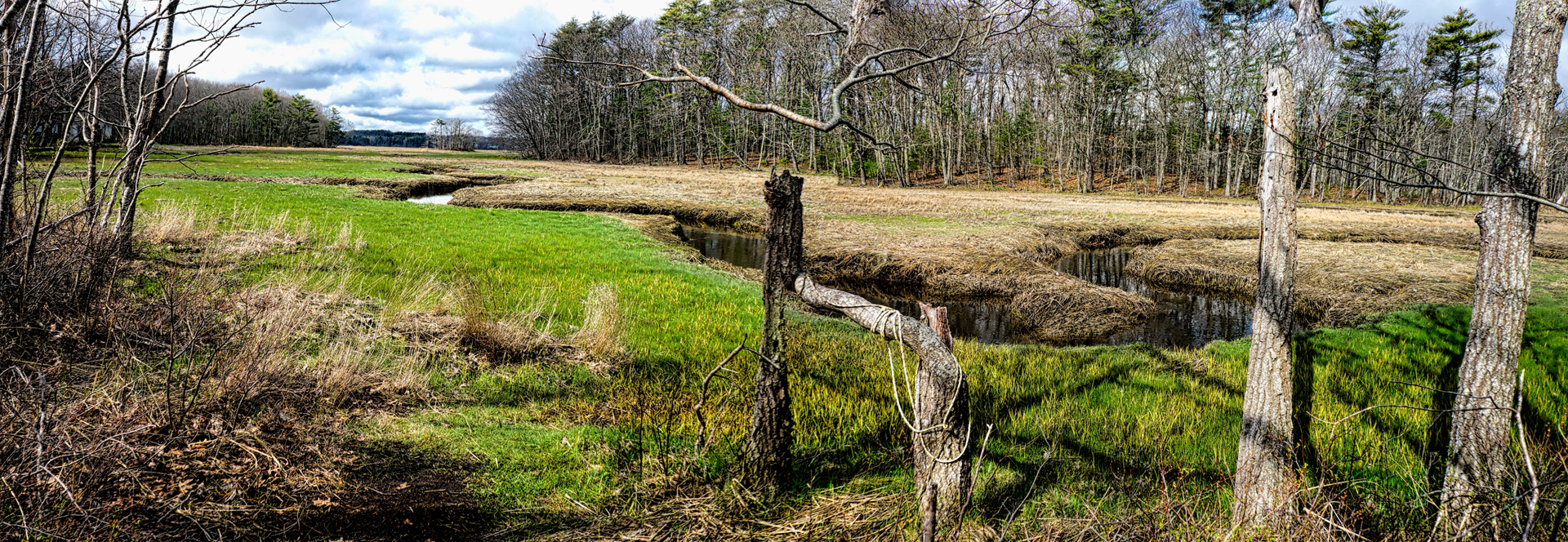 Mill Brook Marsh - Point 7 - Spring Panorama