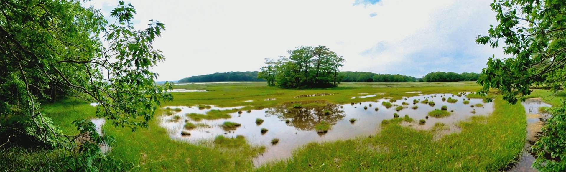 Mill Brook Marsh - Point 9 - Panorama