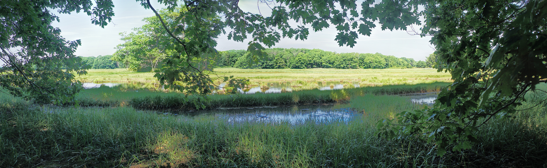 Mill Brook Marsh - Point 9 - Summer Panorama