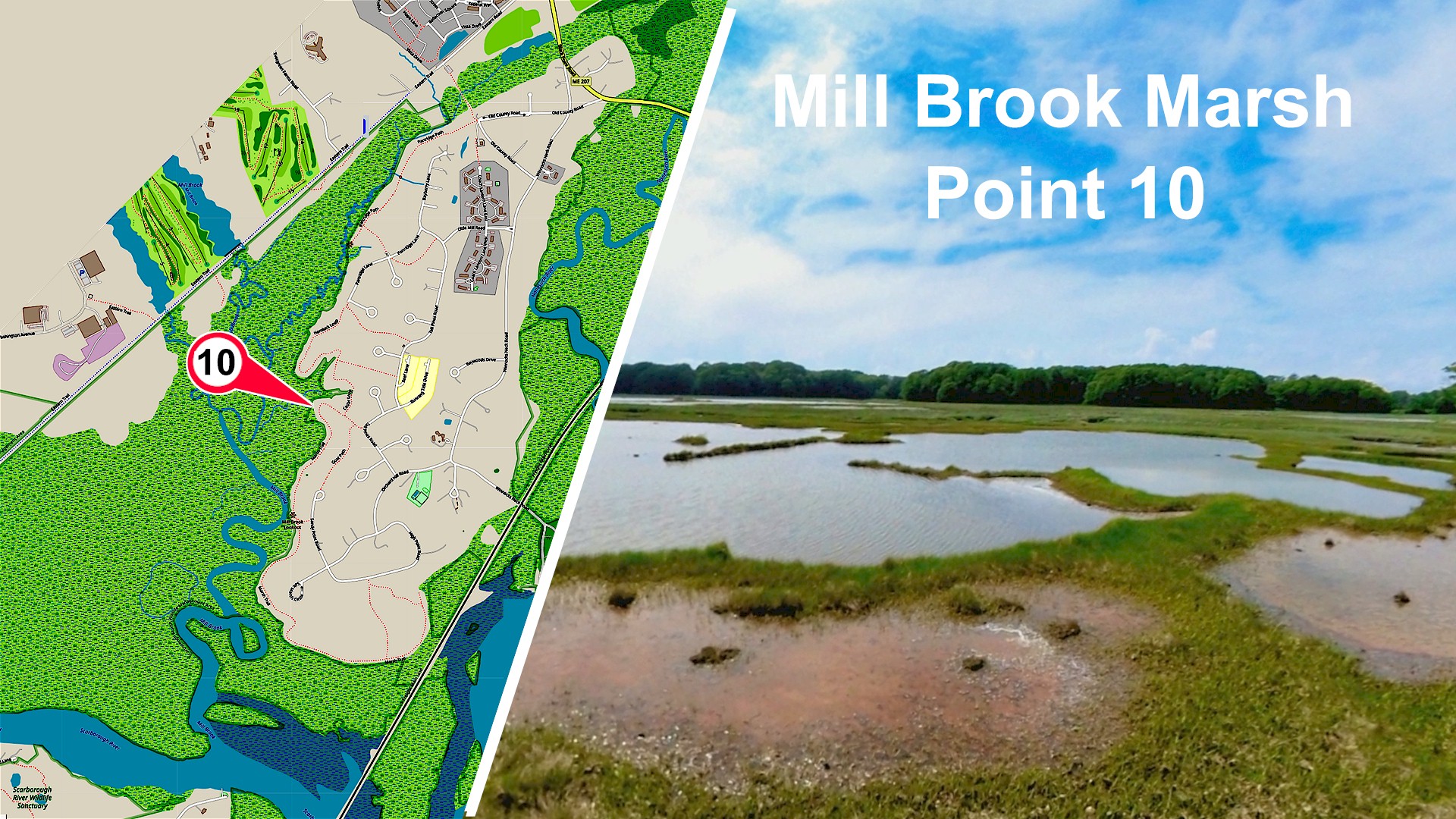 Mill Brook Marsh - Point 10