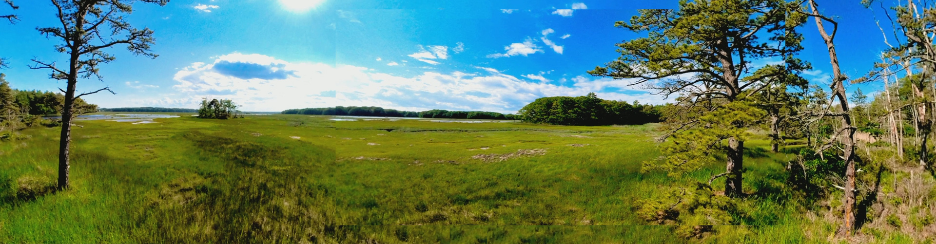 Mill Brook Marsh - Point 11 - Panorama