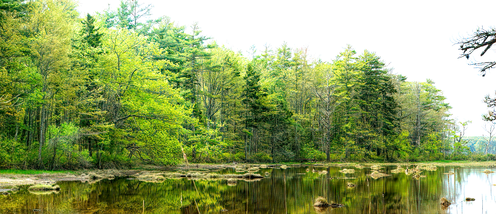 Mill Brook Marsh - Point 12 - Spring Panorama
