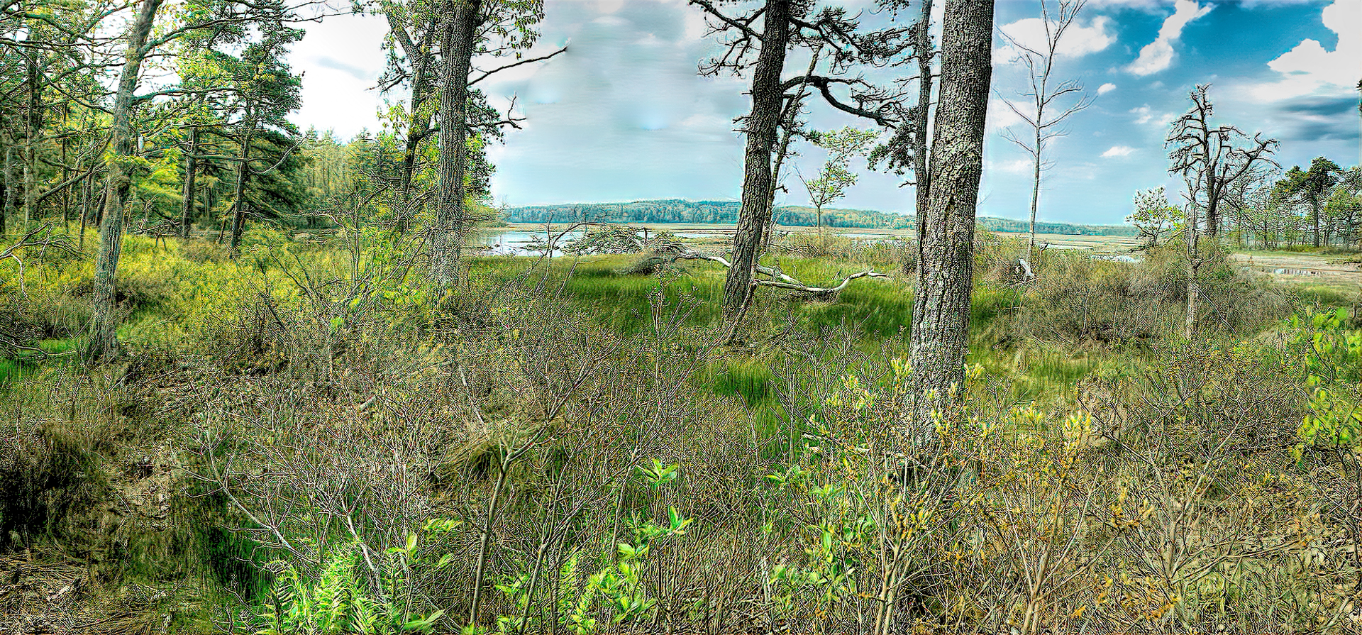 Mill Brook Marsh - Point 12 - Spring Panorama