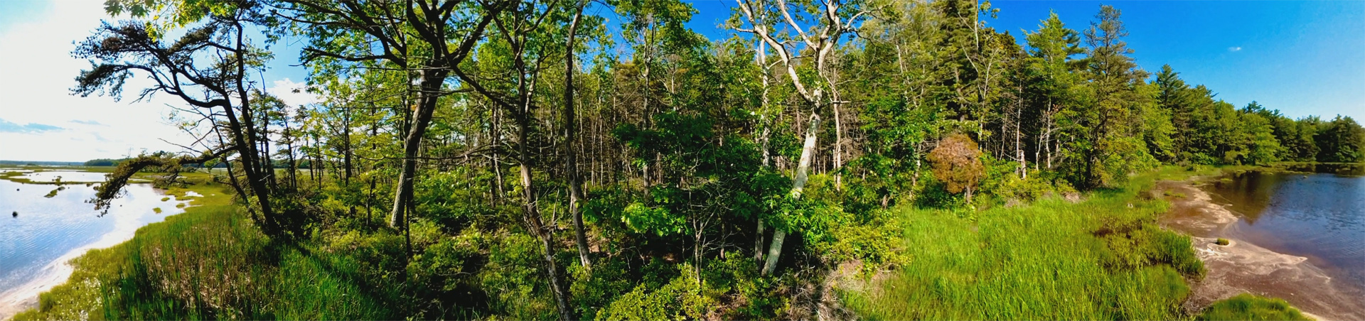 Mill Brook Marsh - Point 12 - Panorama
