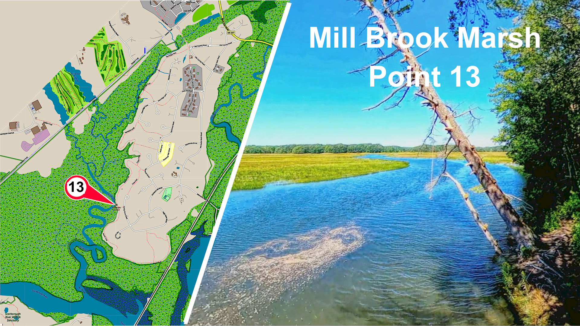 Mill Brook Marsh - Point 13