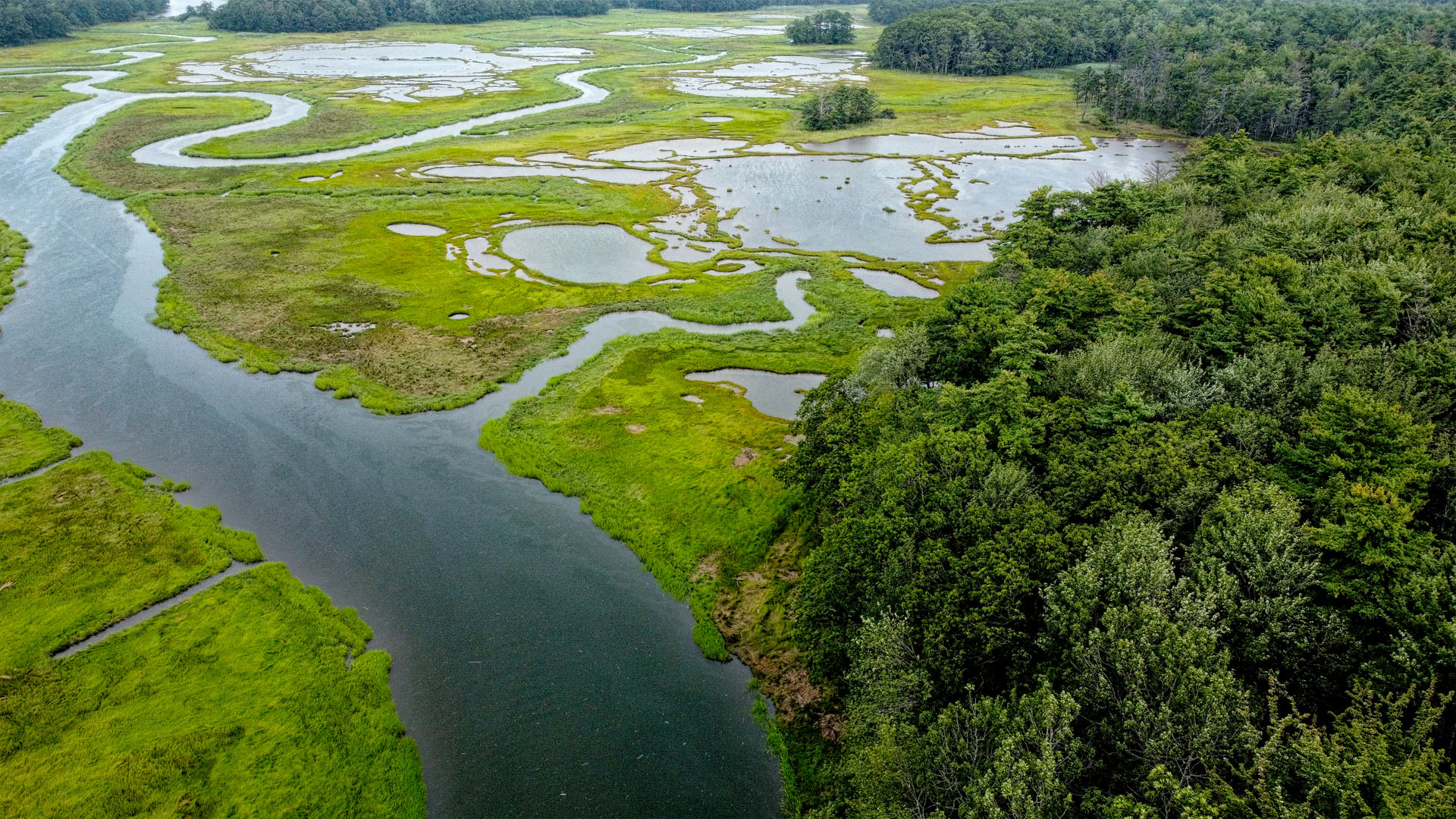 Mill Brook Marsh - Point 13 - Aerial View Looking Upstream