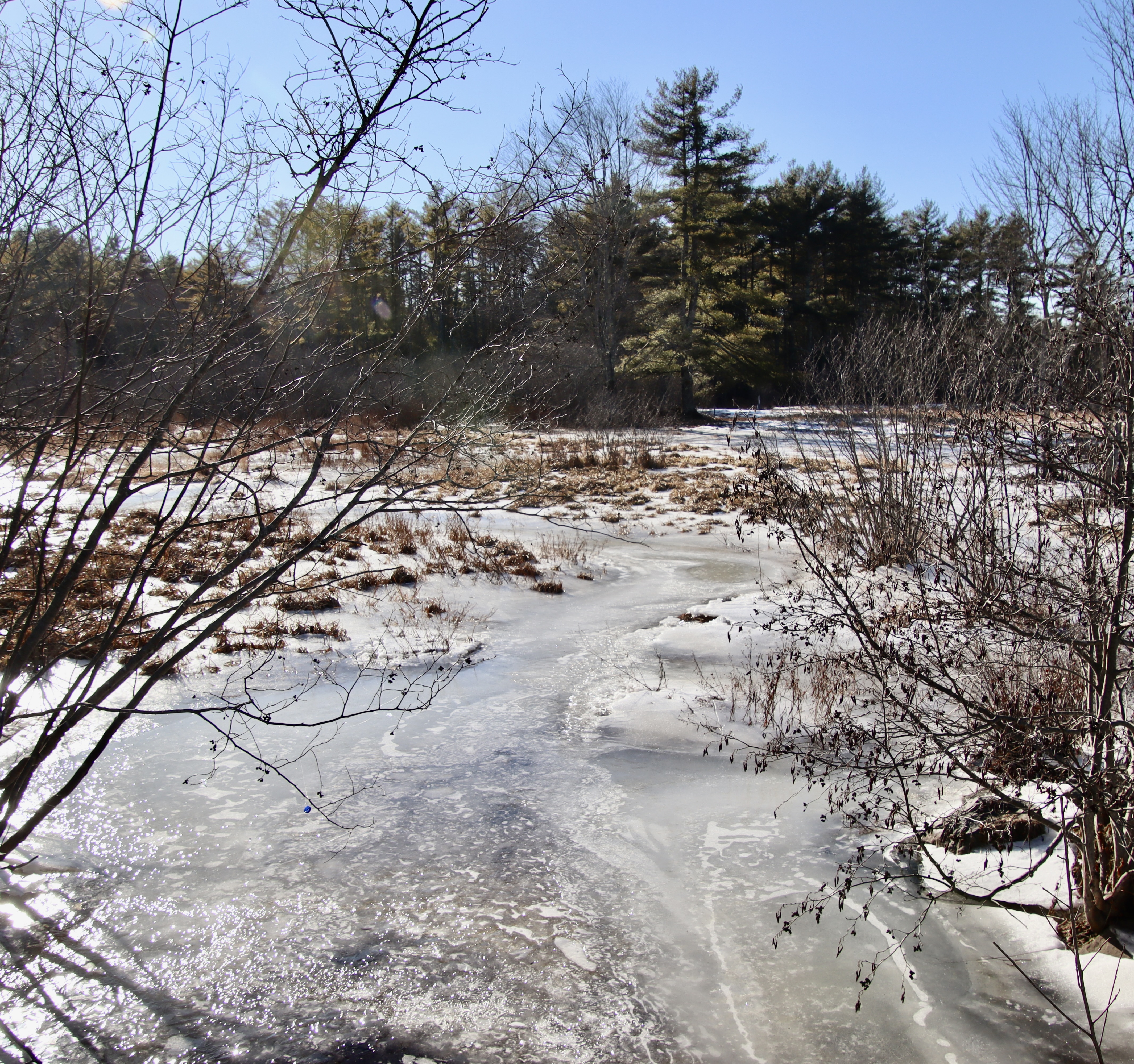 Nonesuch Headwaters