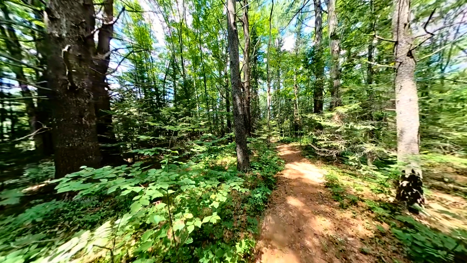 Blue Heron Trail