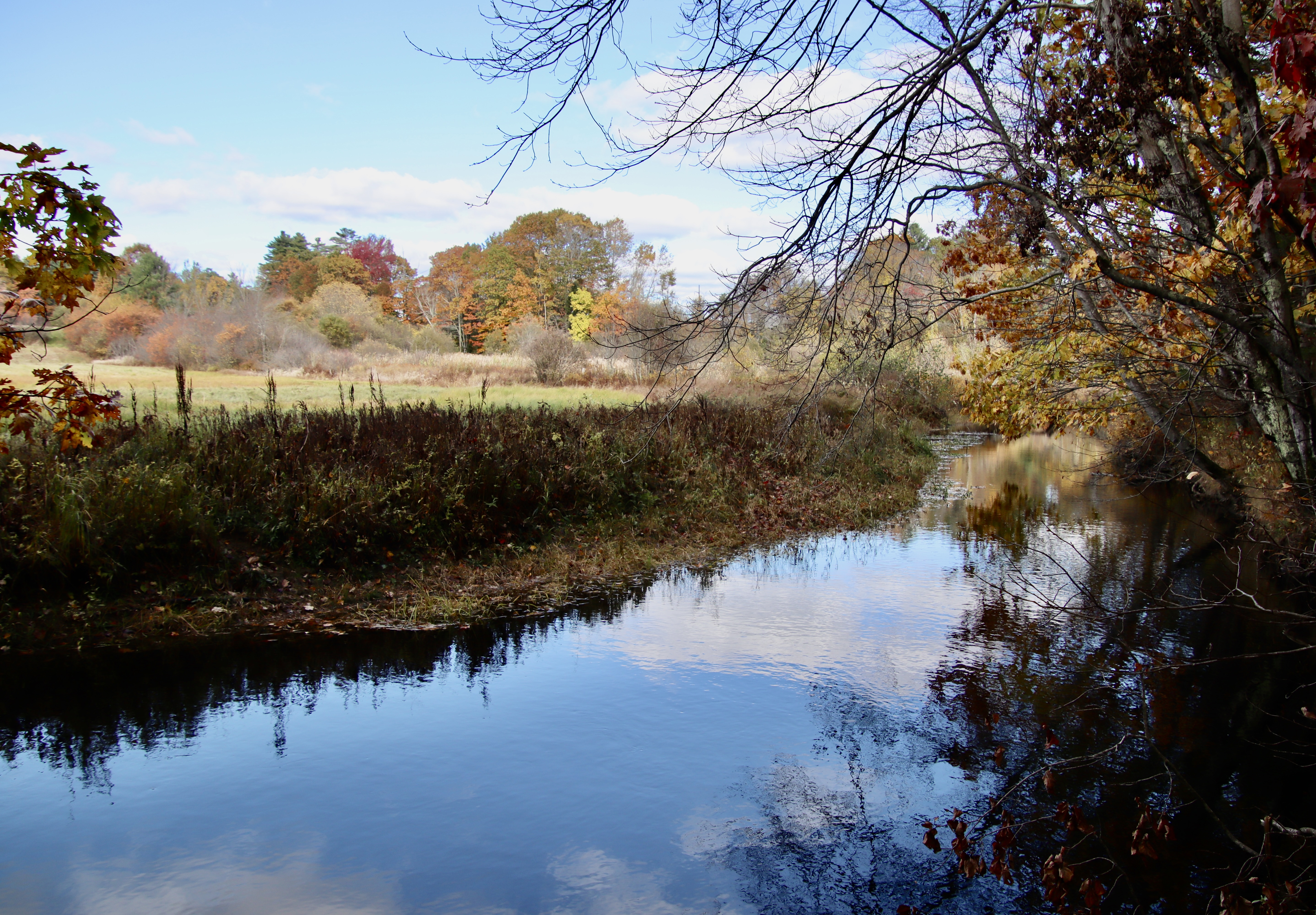 View of the Nonesuch from town open space