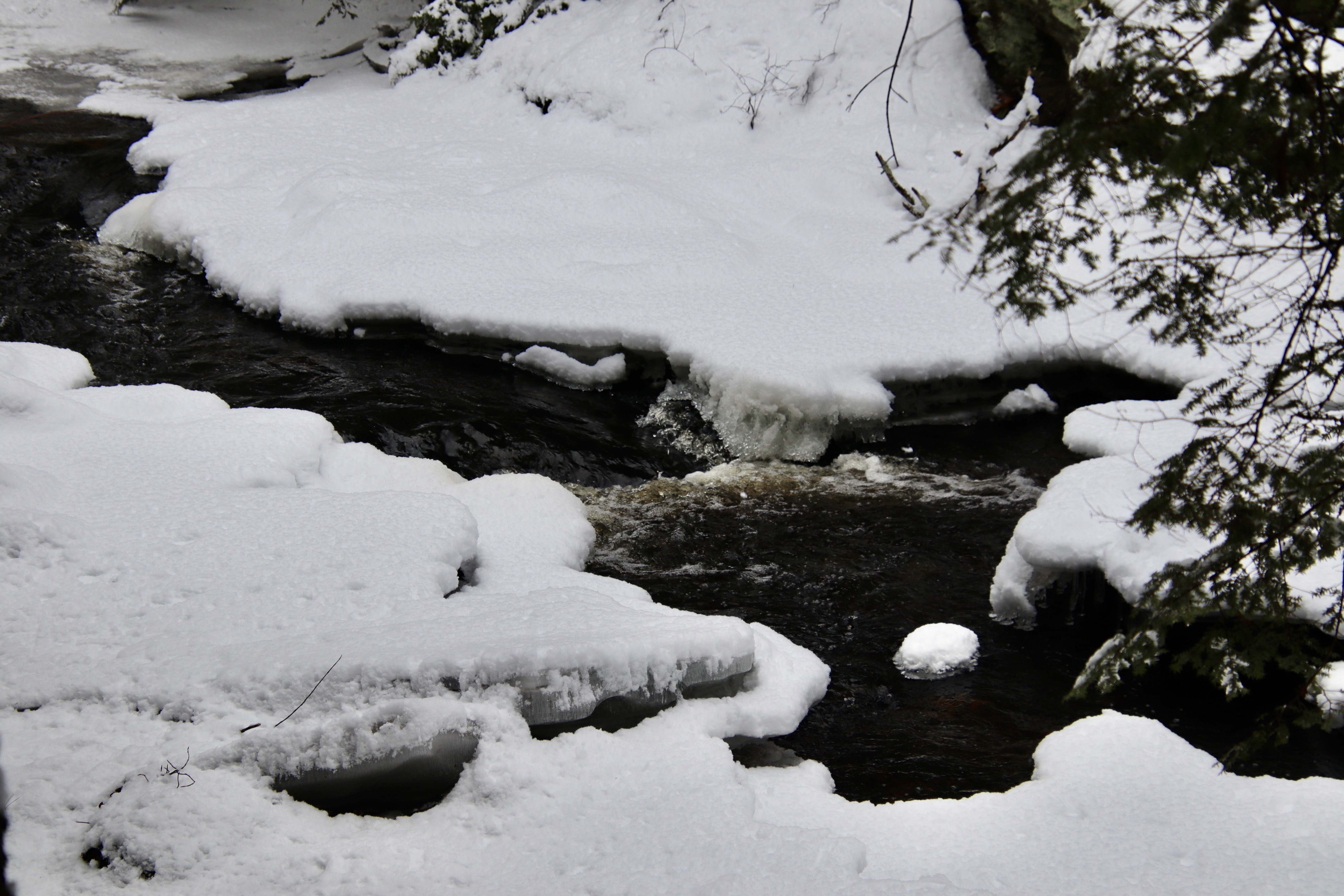 Headwaters in the Thurston Mills site