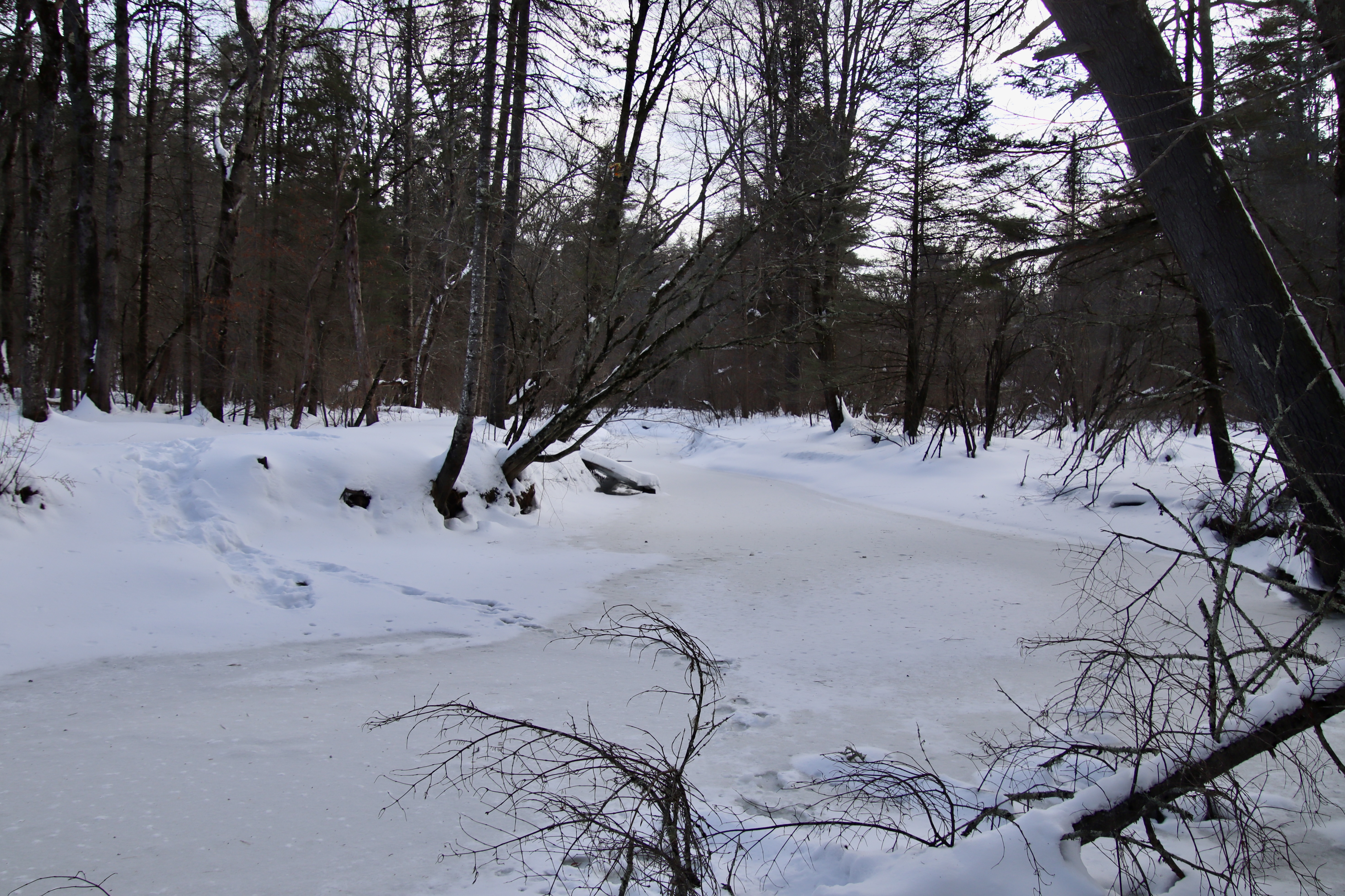 from Fuller Farm trails