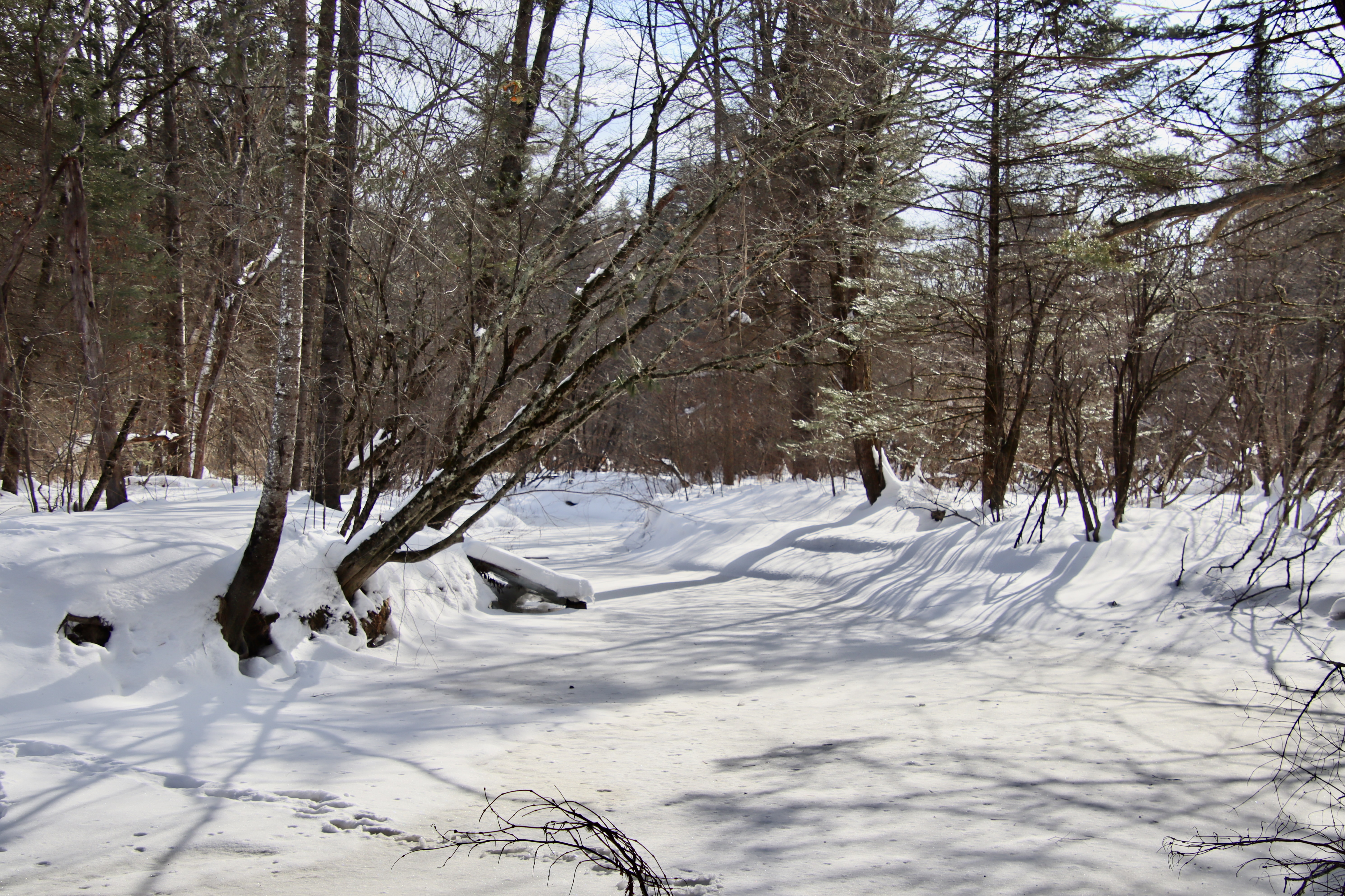 From the trails in Fuller Farm