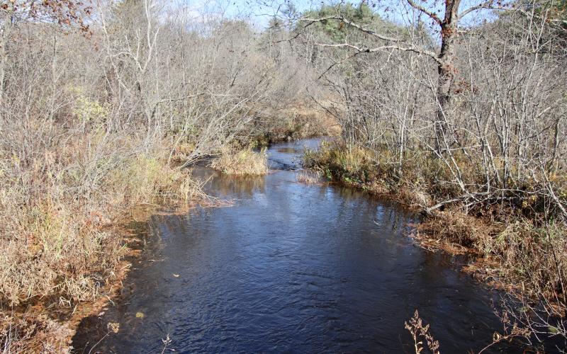 Looking downstream from McKenney Rd.