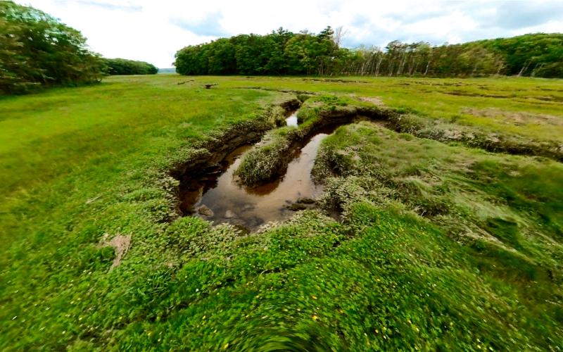 Mill Brook Marsh - Point 6 - Stream Bend
