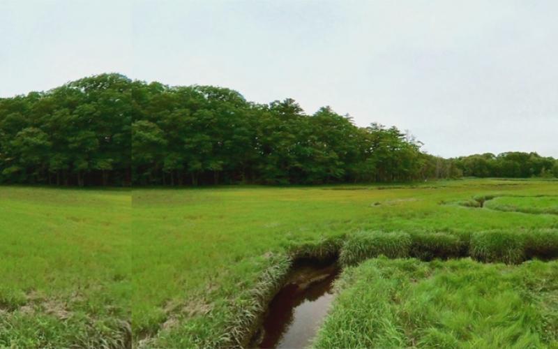 Mill Brook Marsh - Point 7 - Panorama