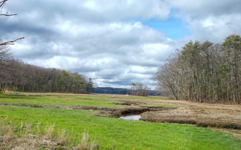 Mill Brook Marsh - Point 7 - Spring
