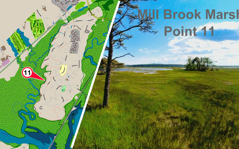 Mill Brook Marsh - Point 11