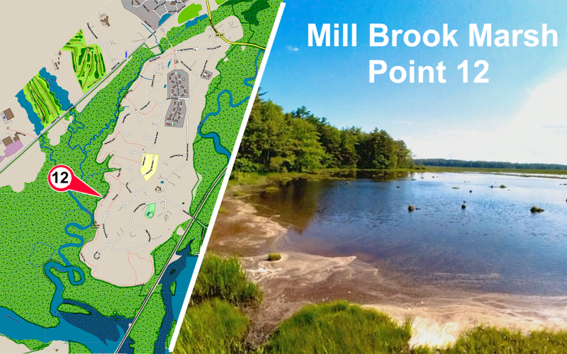 Mill Brook Marsh - Point 12