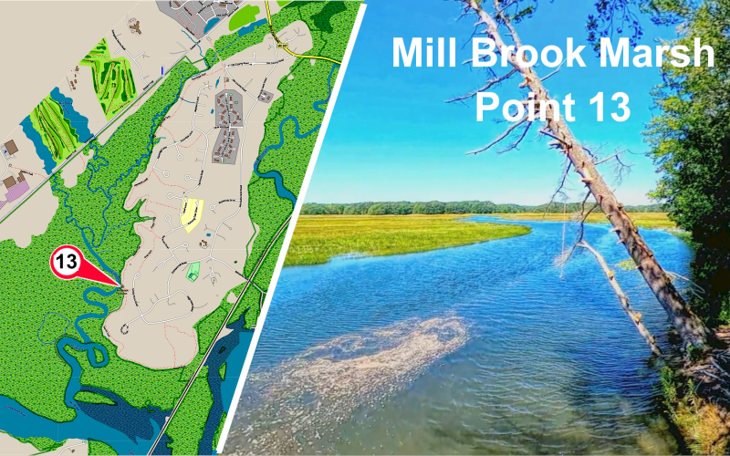 Mill Brook Marsh - Point 13