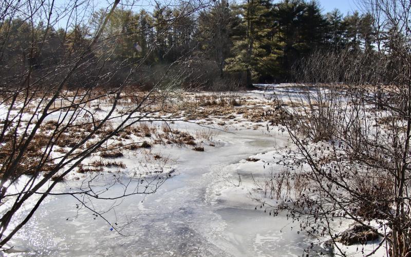 Nonesuch Headwaters