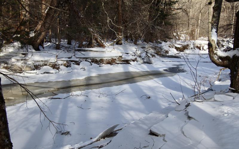 From trails near Fengler Road