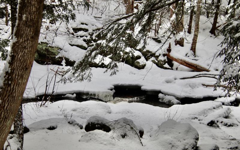 Headwaters in the Thurston Mills site.
